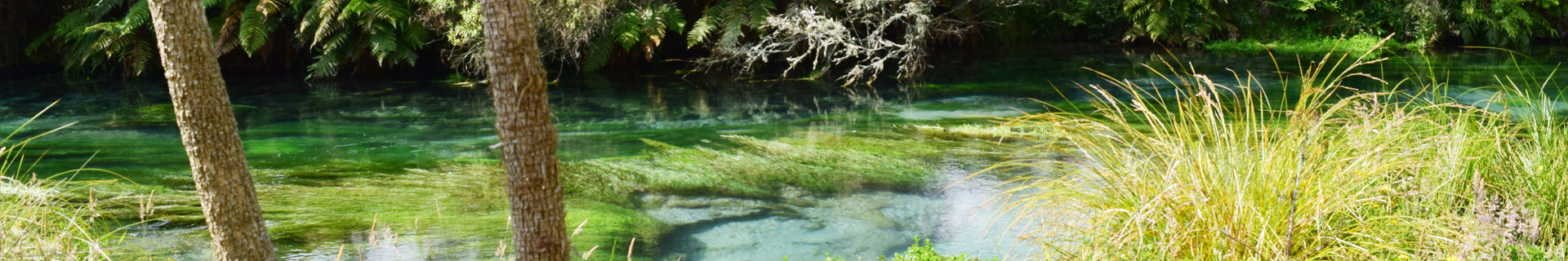 putaruru blue spring