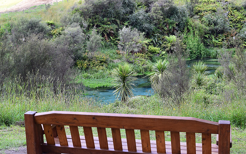 putaruru blue spring