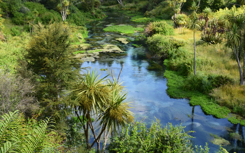 putaruru surronding area